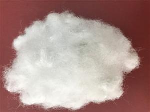 10D*64 mm Recycle (Hollow Siliconized)- sợi rỗng 2 chiều